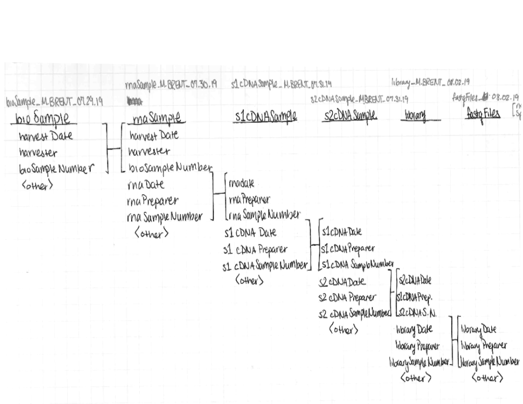 database_diagram